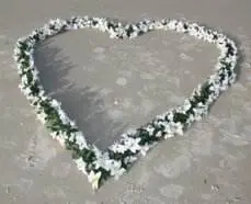webheart (1)
